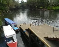 Puerto Viejo de Sarapiquí