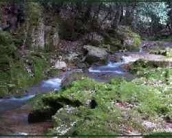 Torrent des Freus o Coanegra.