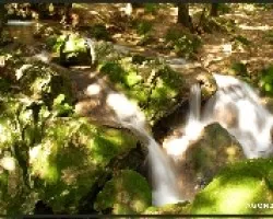 Torrent des Freus o Coanegra.