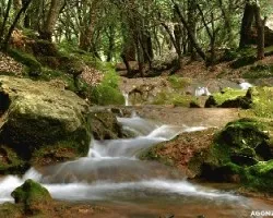 Torrent des Freus o Coanegra.