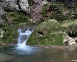Torrent des Freus o Coanegra.