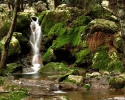 Torrent des Freus o Coanegra.