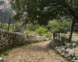 El camino