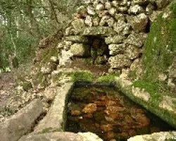 Pequeña fuente