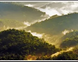 Rios del amanecer