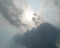 reflejos