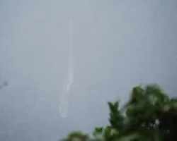 Yo también estuve en Tapantí 