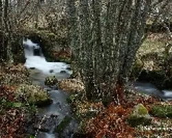 Por las dos orillas