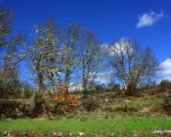El azul intenso del cielo