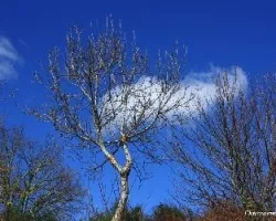 El azul intenso del cielo