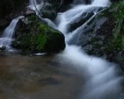 Arroyo