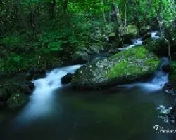 Un rincón con agua