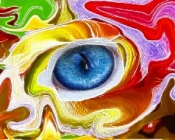 Abstracto ojo de gato