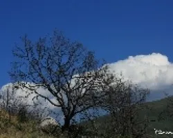 Quemado