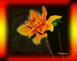 Florecilla con marco