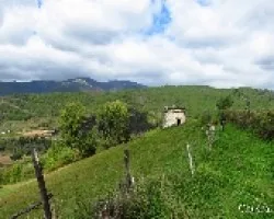 Palomares