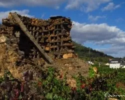 Palomares