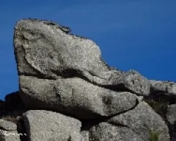 Pareidolia
