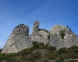 Pareidolia