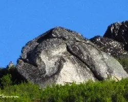Pareidolia