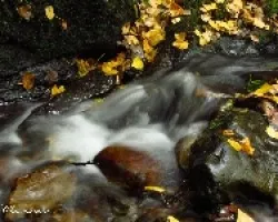 as de otoño
