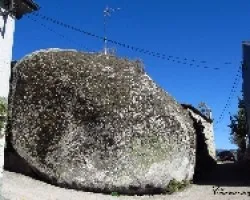 Gigantes de la naturaleza