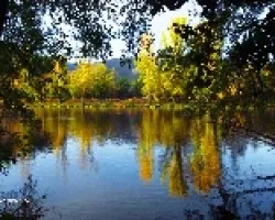 Reflejos de otoño