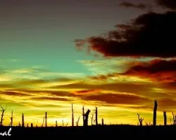 amanecer 