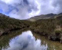 Lugar de las aguas eternas