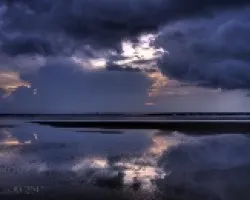 Reflejo en la cola de la Ballena