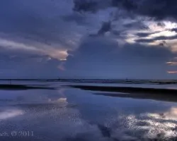 Reflejo en la cola de la Ballena