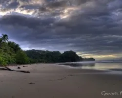 Bahia Ballena en la mañana