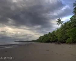 Bahia Ballena en la mañana