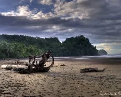 Bahia Ballena en la mañana