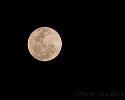 Luna llena