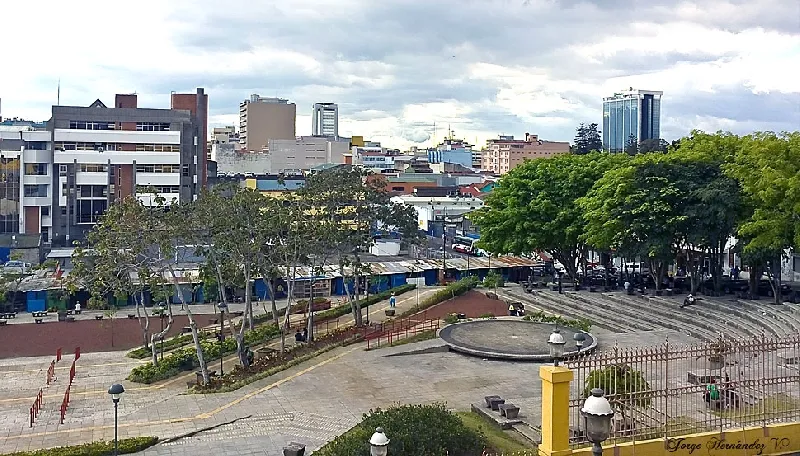 Foto