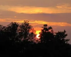 sol acultandose en los arboles