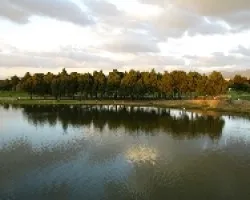 lago y arboles