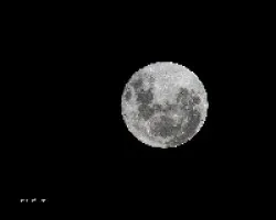 Mi luna