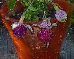 Unas flores