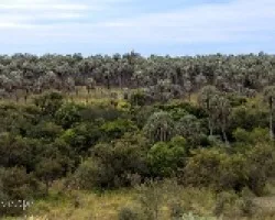 Parque Nacional El Palmar