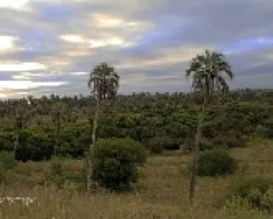Parque Nacional El Palmar