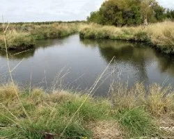 Canal de riego