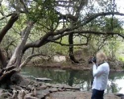 Arroyo El Palmar
