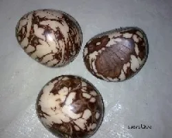 Phytelephas macrocarpa