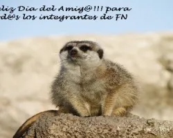 Feliz Día del Amig@!!!!