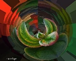 Original y manipuladas!!!!