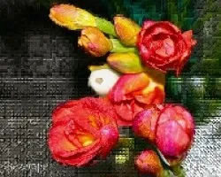 Feliz Primavera!!!!