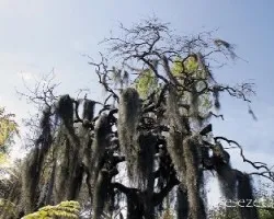 Exposición de Escobar
