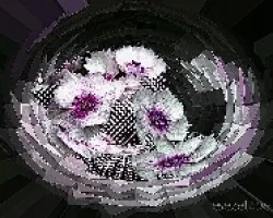 A falta de mosaicos..